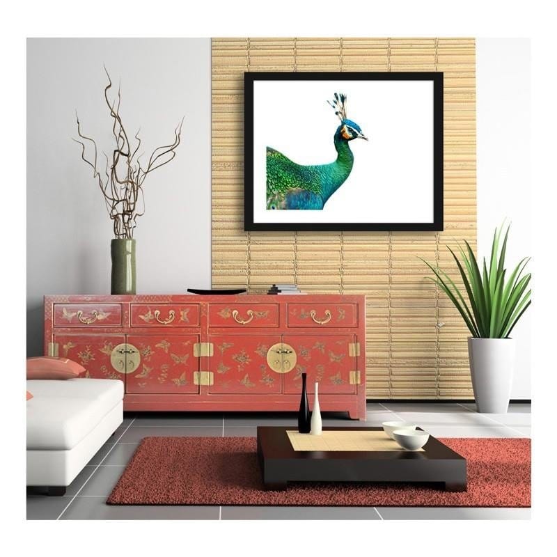 Glezna melnā rāmī - Peacock head  Home Trends