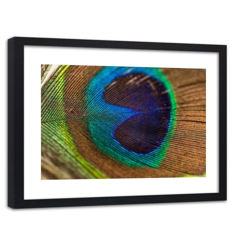 Glezna melnā rāmī - Peacocks Eye  Home Trends