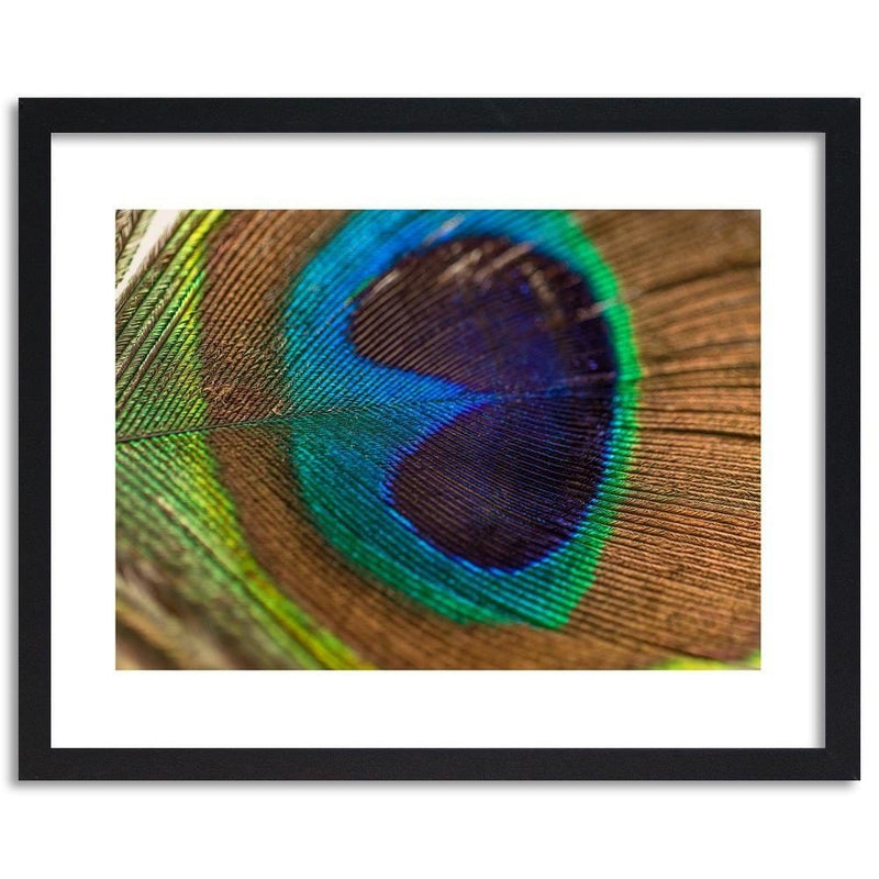 Glezna melnā rāmī - Peacocks Eye  Home Trends