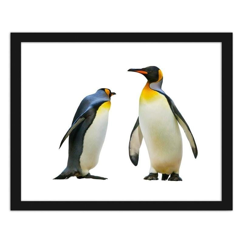 Glezna melnā rāmī - Penguins  Home Trends