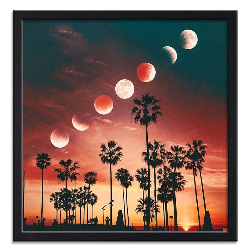 Glezna melnā rāmī - Phases Of The Moon Over Palm Trees  Home Trends