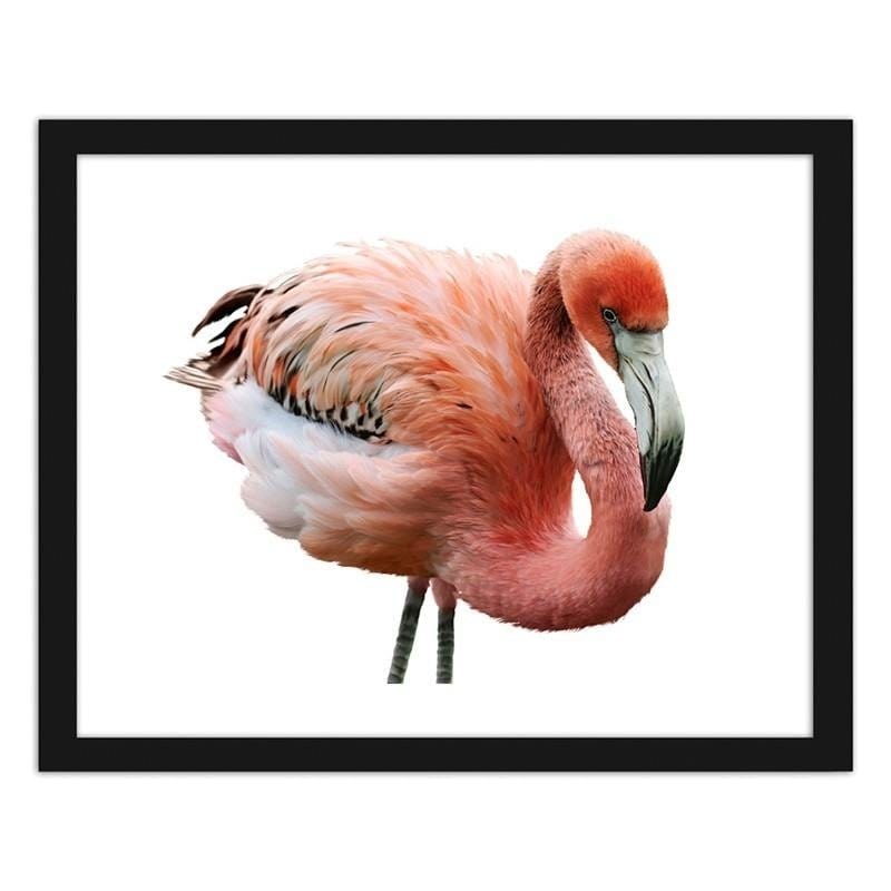 Glezna melnā rāmī - Pink flamingo  Home Trends