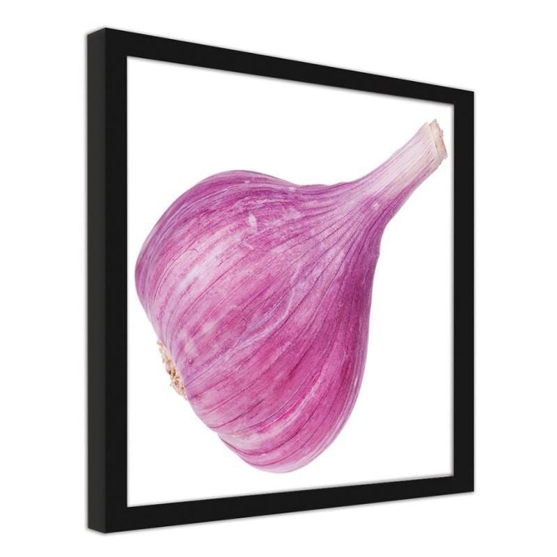 Glezna melnā rāmī - Pink garlic  Home Trends