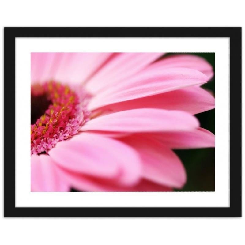 Glezna melnā rāmī - Pink gerbera  Home Trends