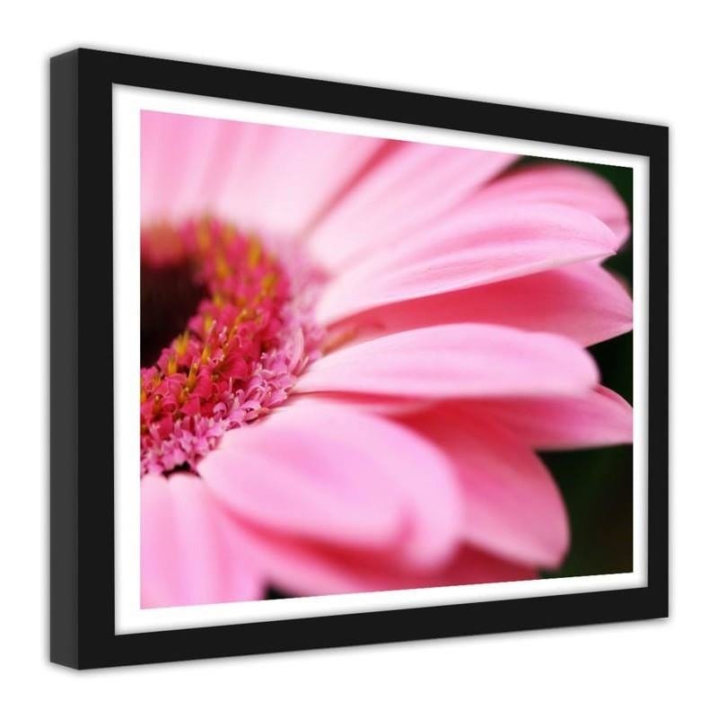 Glezna melnā rāmī - Pink gerbera  Home Trends