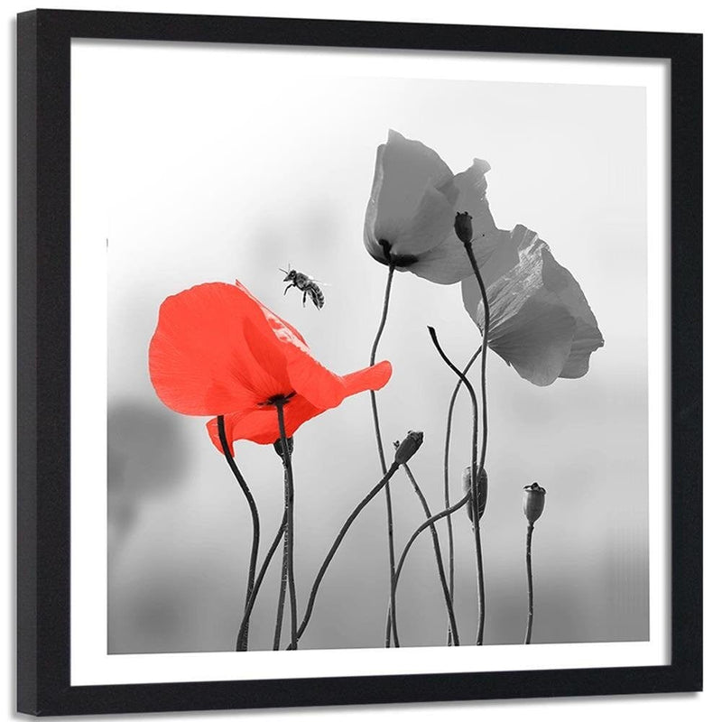 Glezna melnā rāmī - Poppies And Bee  Home Trends