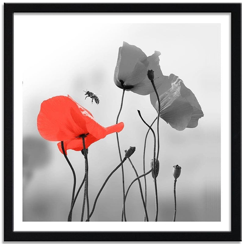 Glezna melnā rāmī - Poppies And Bee  Home Trends