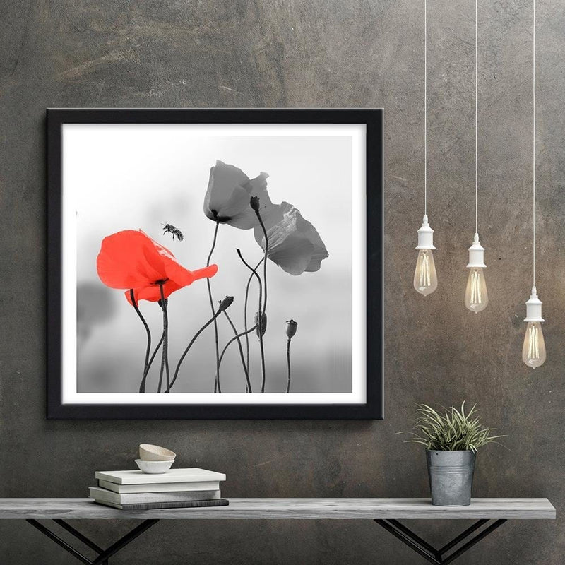 Glezna melnā rāmī - Poppies And Bee  Home Trends