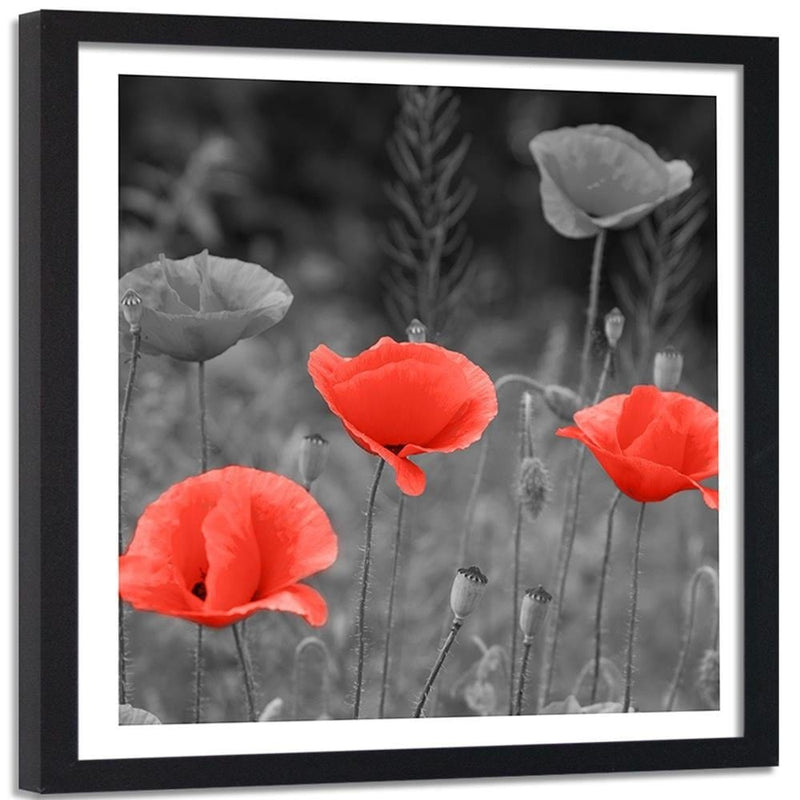 Glezna melnā rāmī - Poppies In The Meadow  Home Trends