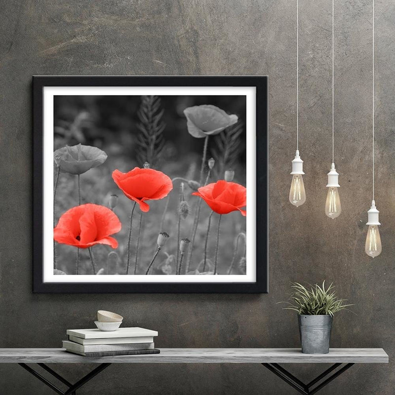 Glezna melnā rāmī - Poppies In The Meadow  Home Trends