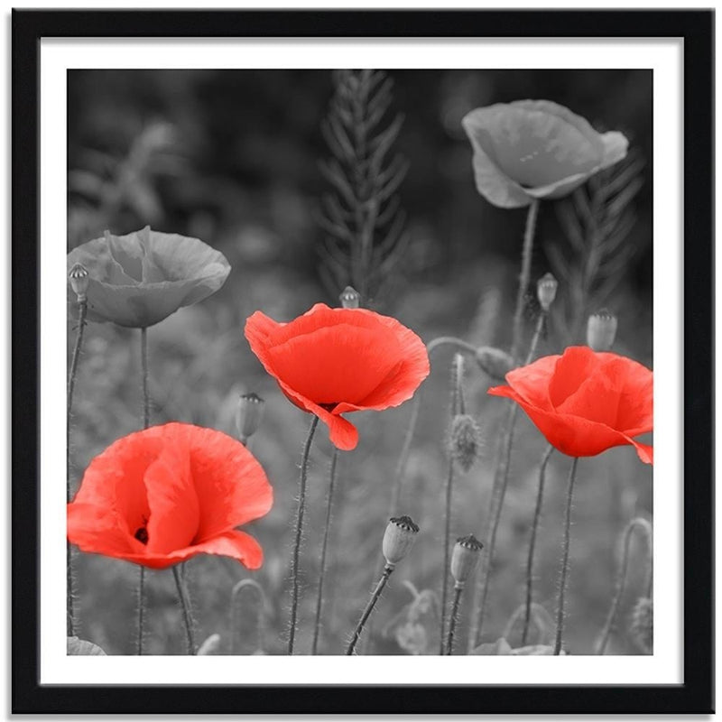 Glezna melnā rāmī - Poppies In The Meadow  Home Trends