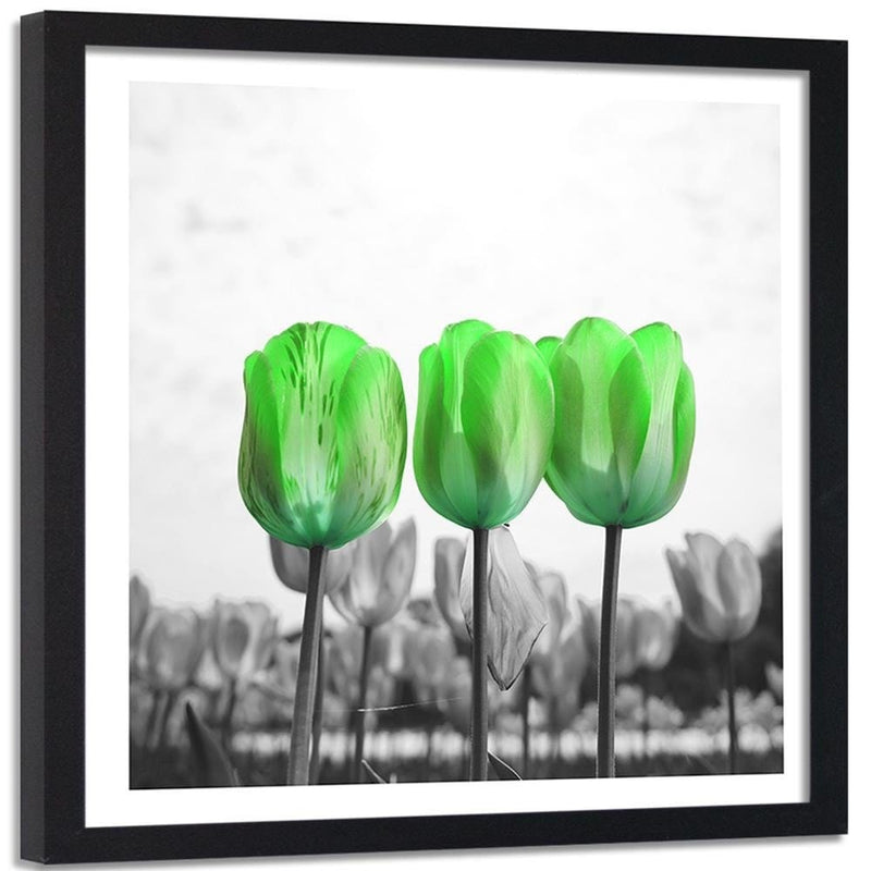 Glezna melnā rāmī - Poppies On Green Meadow  Home Trends