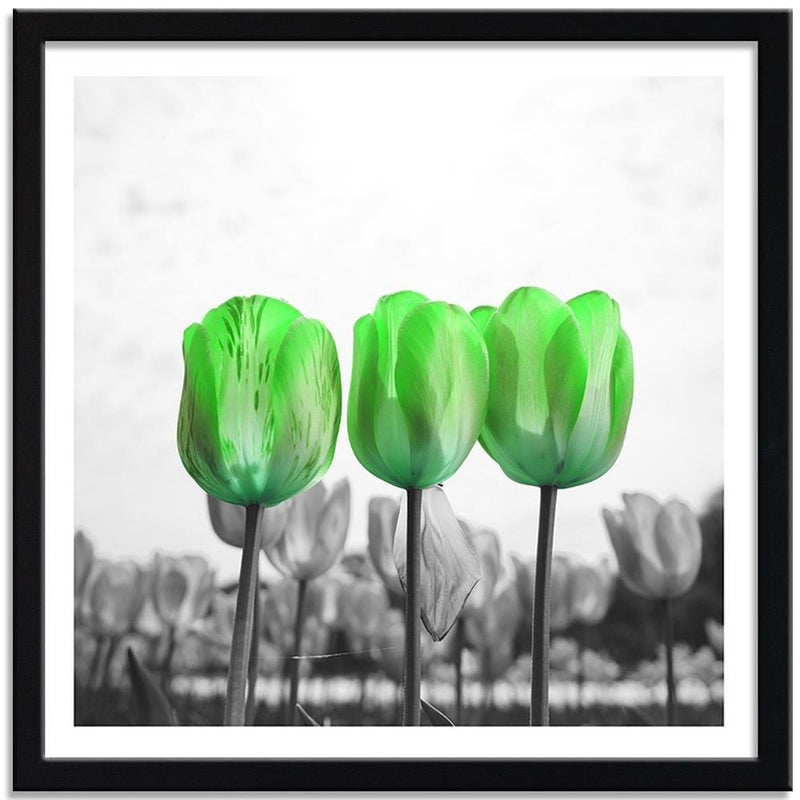 Glezna melnā rāmī - Poppies On Green Meadow  Home Trends