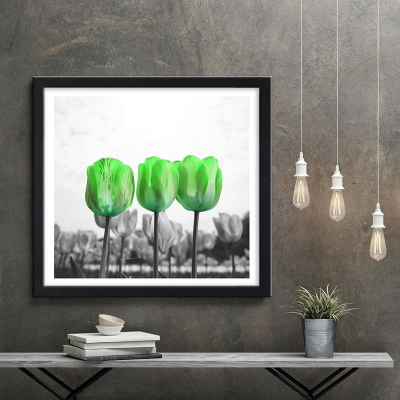 Glezna melnā rāmī - Poppies On Green Meadow  Home Trends