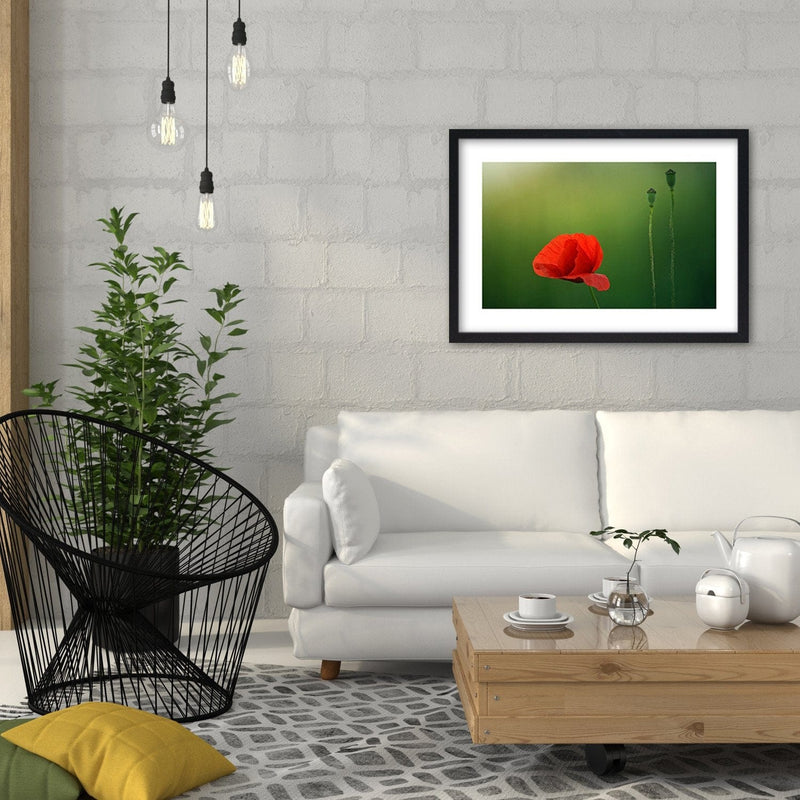 Glezna melnā rāmī - Poppy Flower On A Green Background  Home Trends