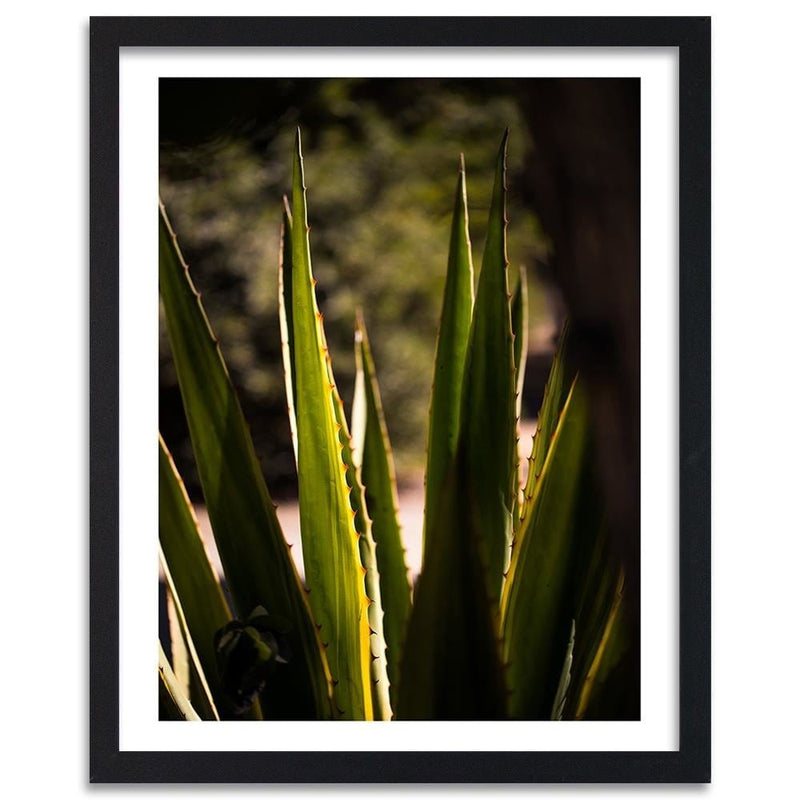 Glezna melnā rāmī - Prickly Leaves  Home Trends