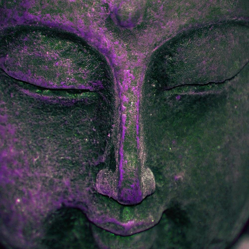 Glezna melnā rāmī - Purple Buddha Head  Home Trends