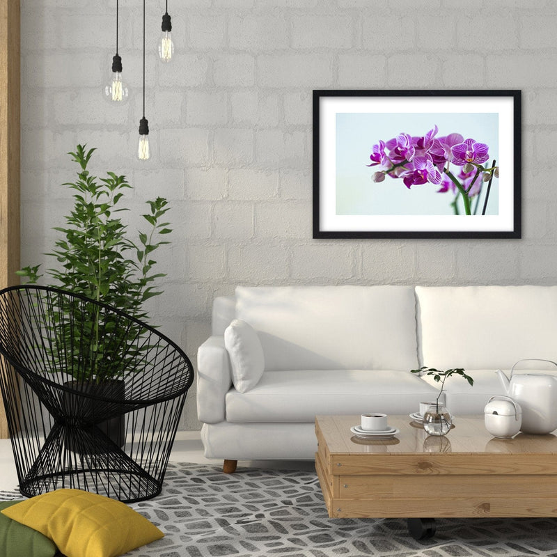 Glezna melnā rāmī - Purple Orchid  Home Trends