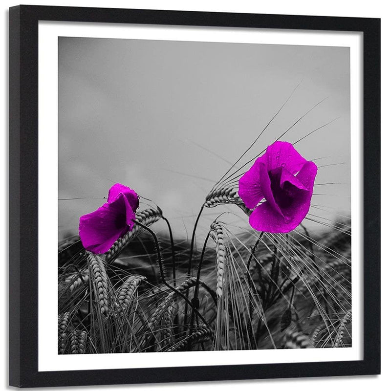 Glezna melnā rāmī - Purple Poppies And Corn  Home Trends