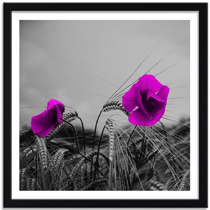 Glezna melnā rāmī - Purple Poppies And Corn  Home Trends