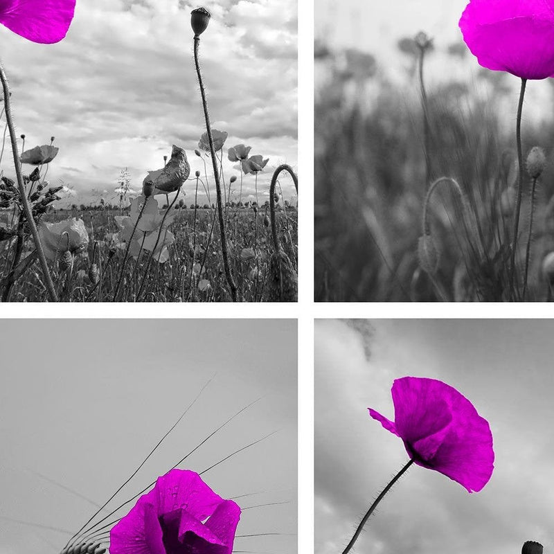 Glezna melnā rāmī - Purple Poppies  Home Trends