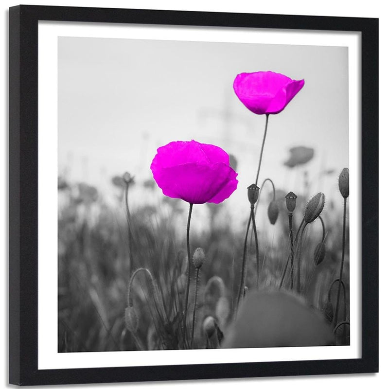 Glezna melnā rāmī - Purple Poppies On The Meadow  Home Trends