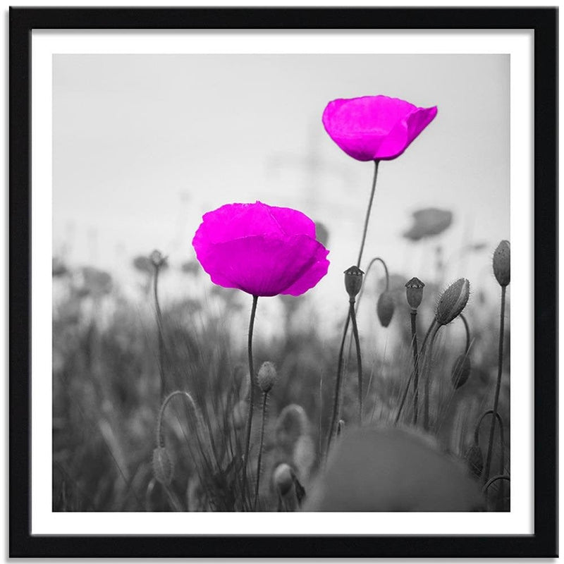 Glezna melnā rāmī - Purple Poppies On The Meadow  Home Trends