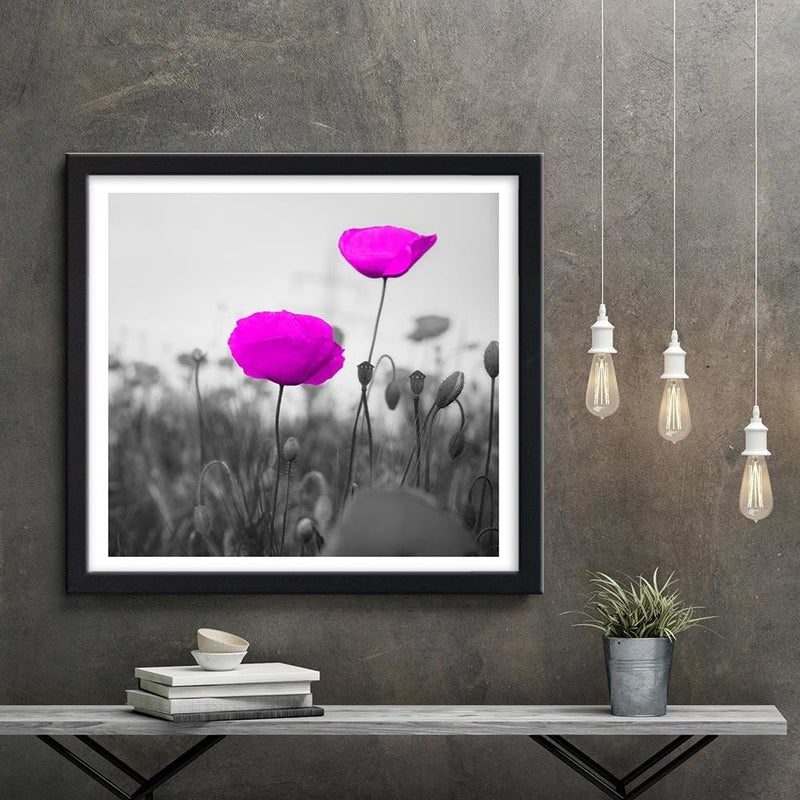 Glezna melnā rāmī - Purple Poppies On The Meadow  Home Trends