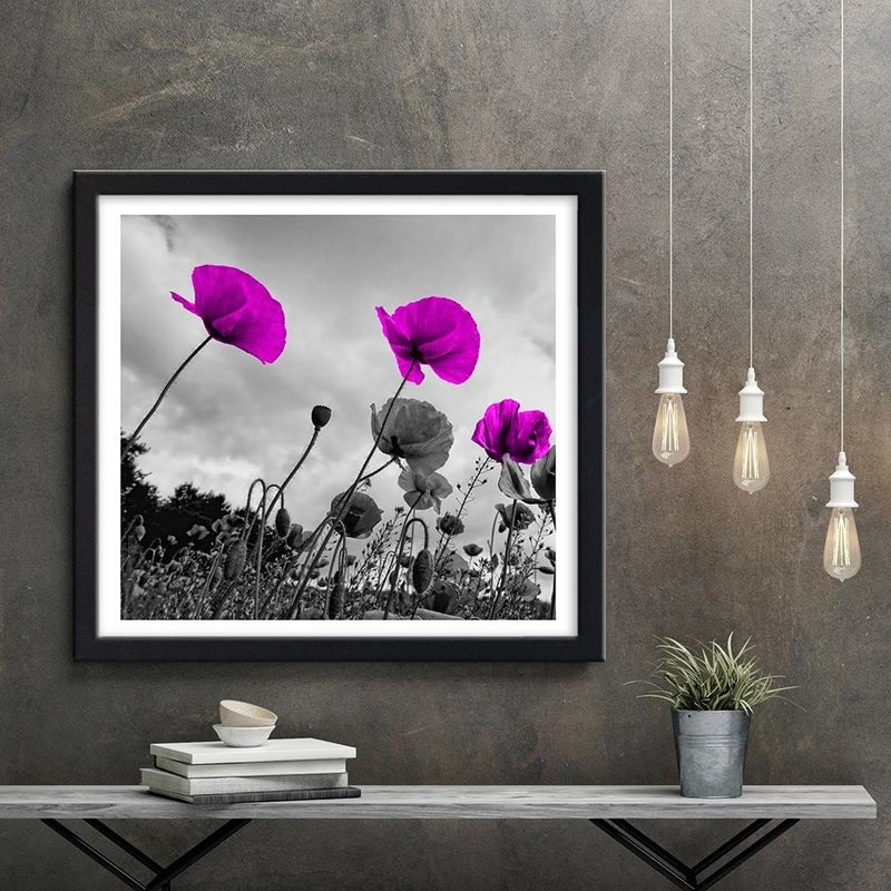 Glezna melnā rāmī - Purple Poppy Flowers  Home Trends