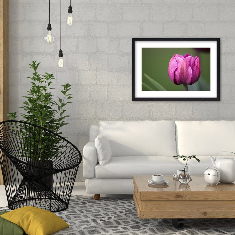 Glezna melnā rāmī - Purple Tulip  Home Trends