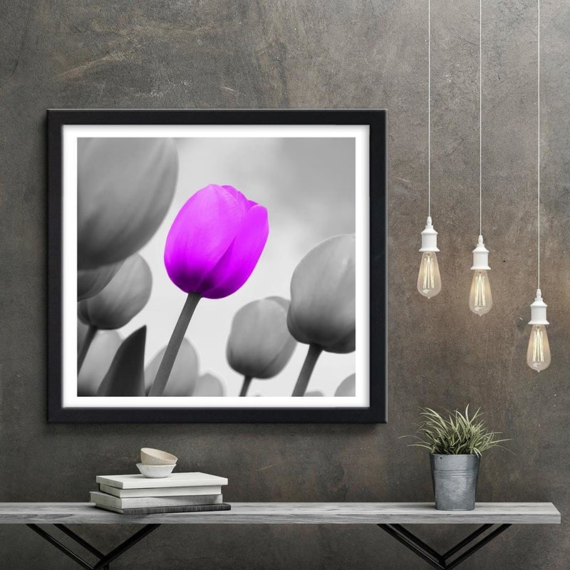 Glezna melnā rāmī - Purple Tulip In Gray  Home Trends