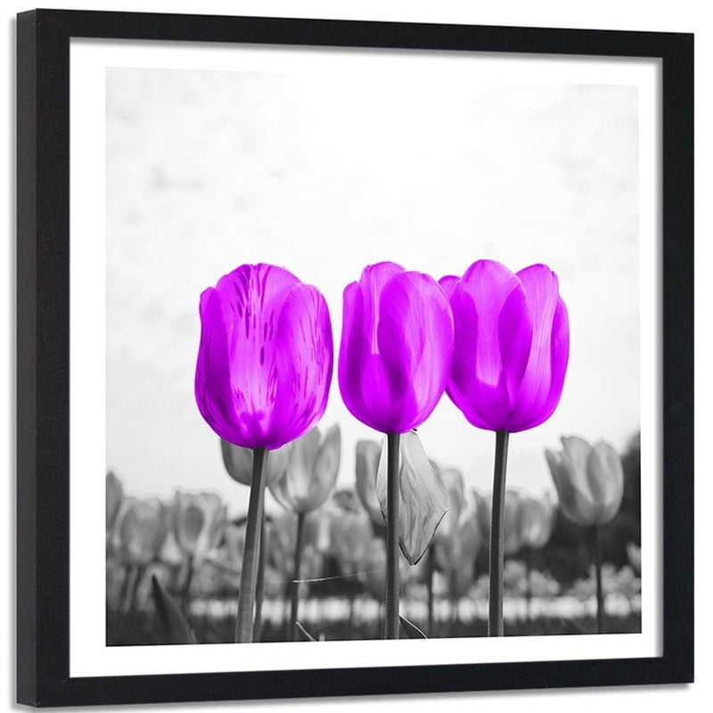 Glezna melnā rāmī - Purple Tulips  Home Trends