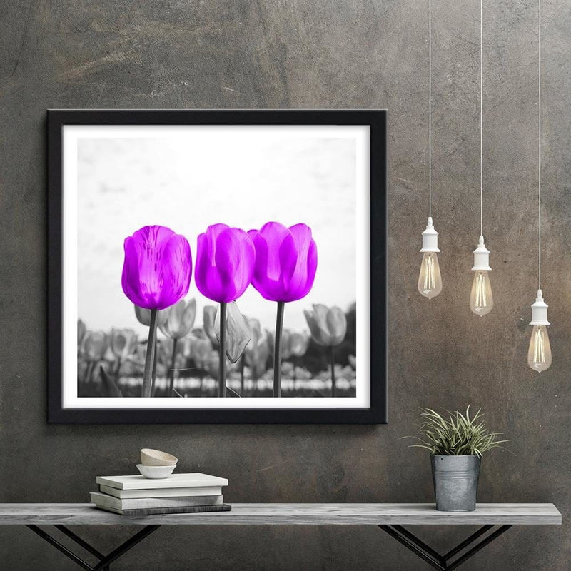 Glezna melnā rāmī - Purple Tulips  Home Trends