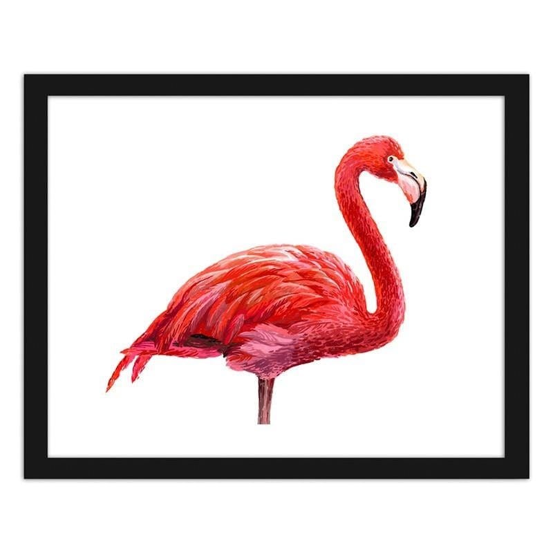 Glezna melnā rāmī - Realistic flamingo illustration  Home Trends