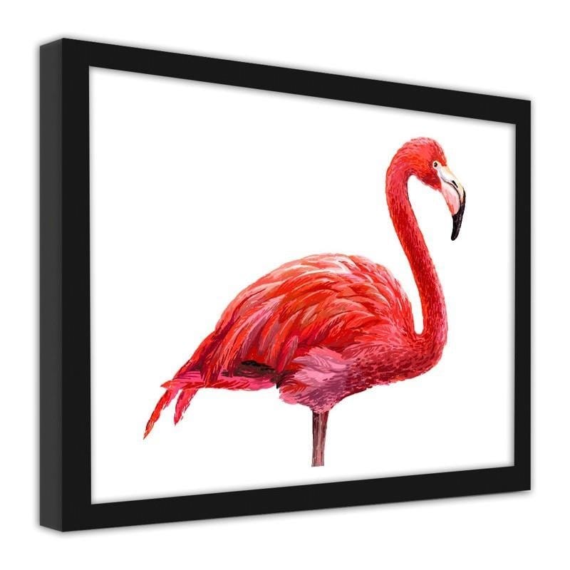 Glezna melnā rāmī - Realistic flamingo illustration  Home Trends