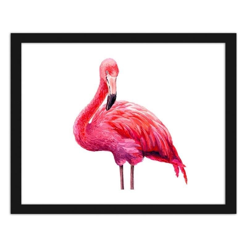 Glezna melnā rāmī - Realistic illustration of a pink flamingo  Home Trends