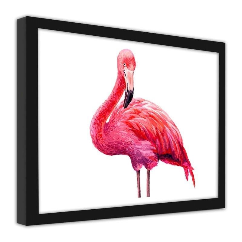 Glezna melnā rāmī - Realistic illustration of a pink flamingo  Home Trends