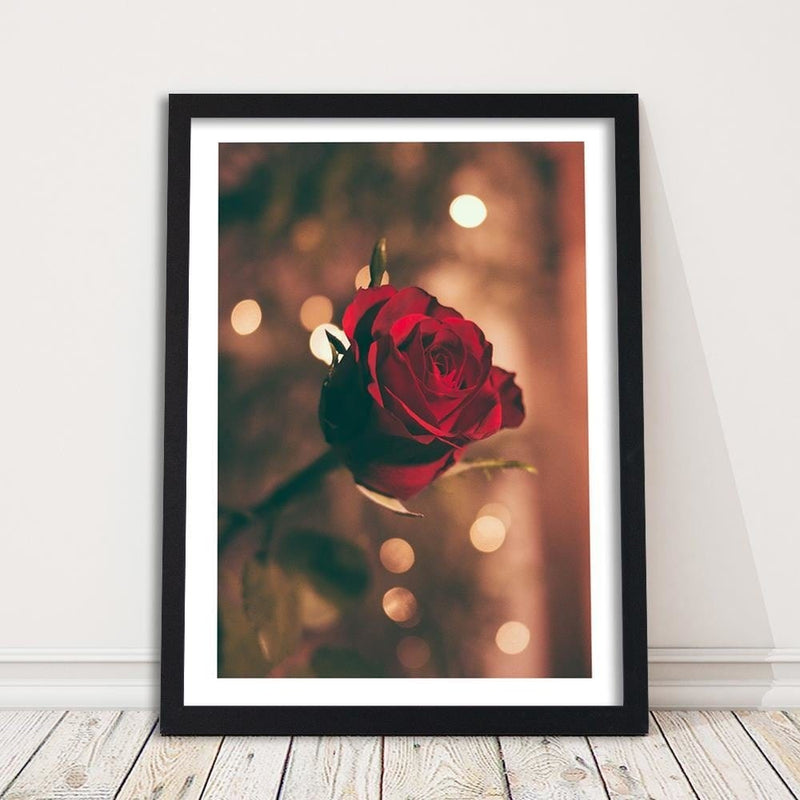 Glezna melnā rāmī - Red Flower Roses  Home Trends