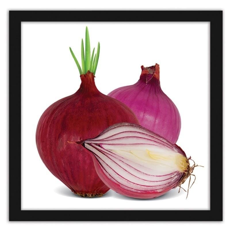 Glezna melnā rāmī - Red onions  Home Trends