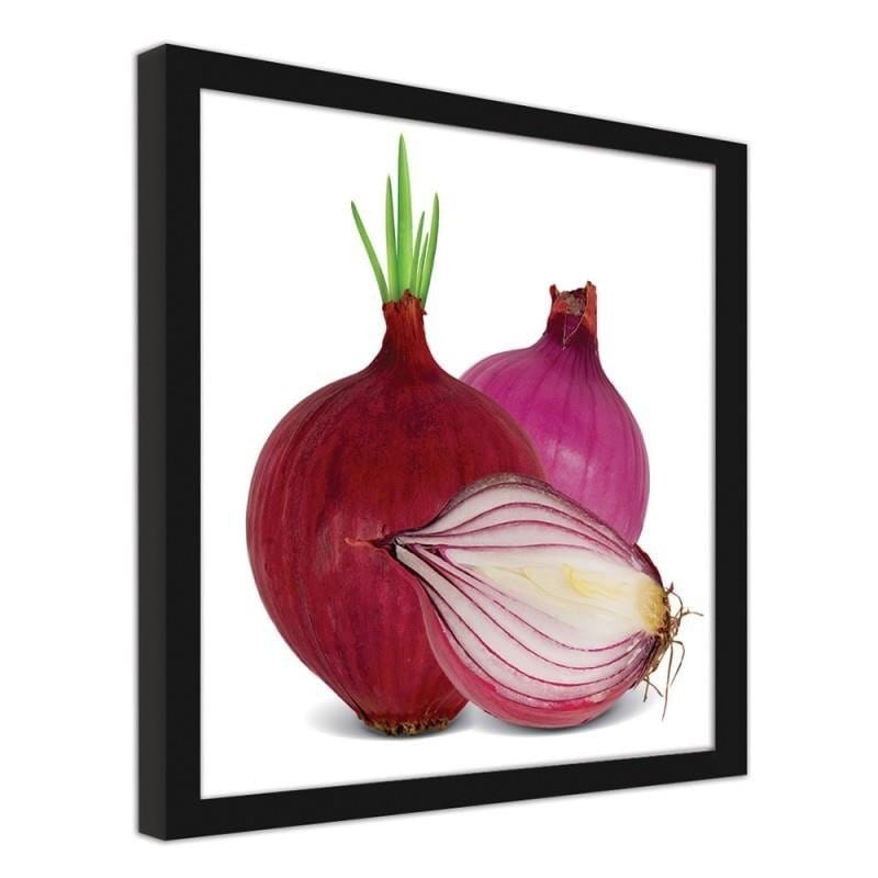 Glezna melnā rāmī - Red onions  Home Trends