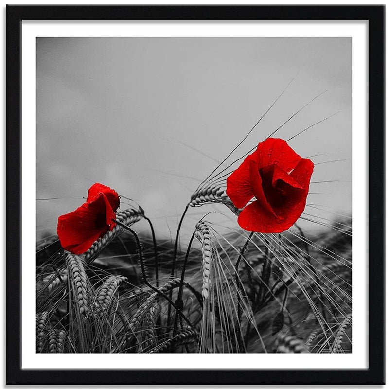 Glezna melnā rāmī - Red Poppies And Corn  Home Trends