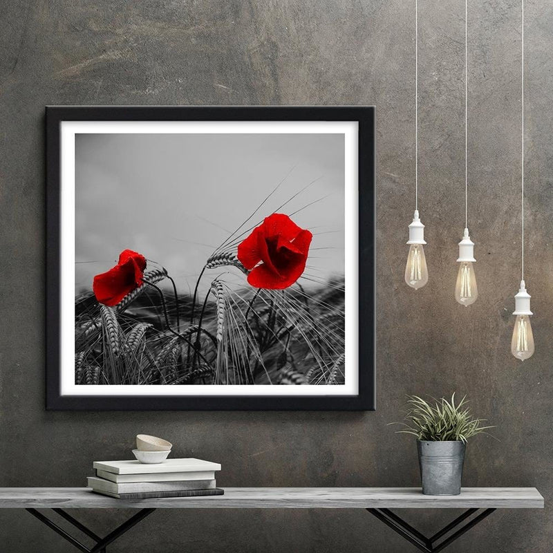 Glezna melnā rāmī - Red Poppies And Corn  Home Trends