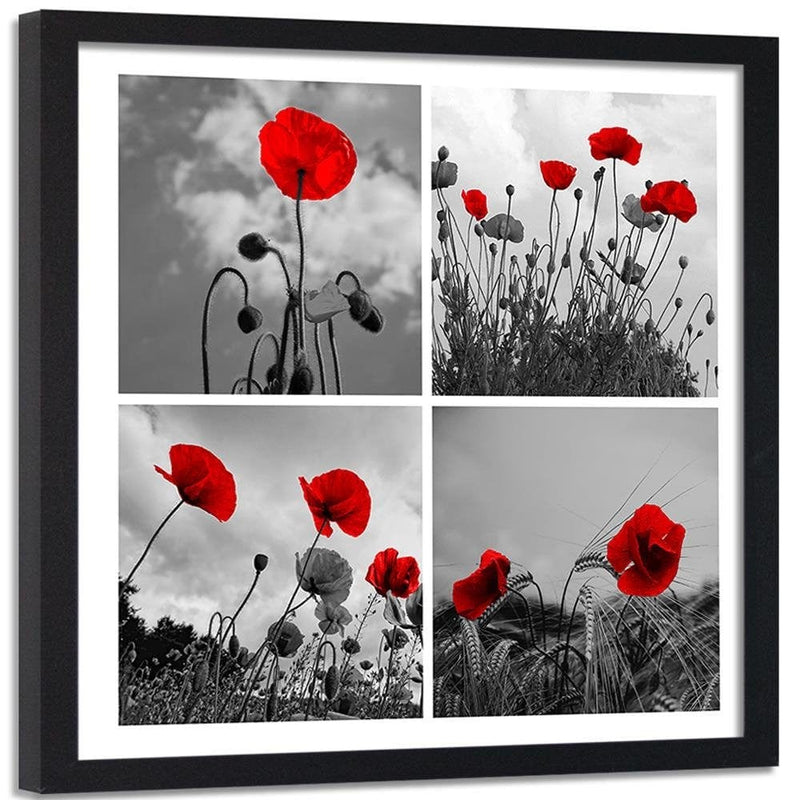 Glezna melnā rāmī - Red Poppies  Home Trends