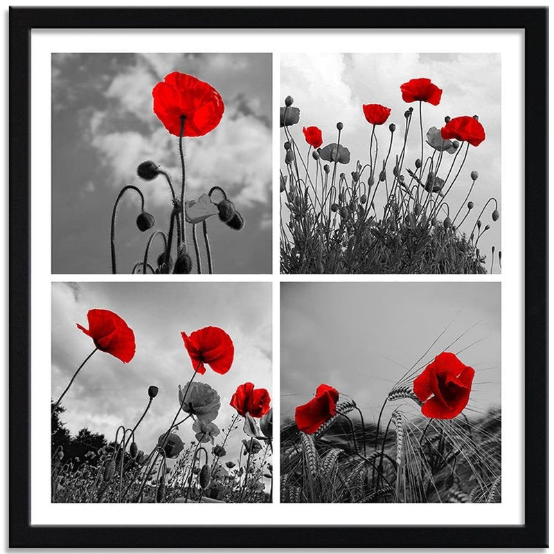 Glezna melnā rāmī - Red Poppies  Home Trends