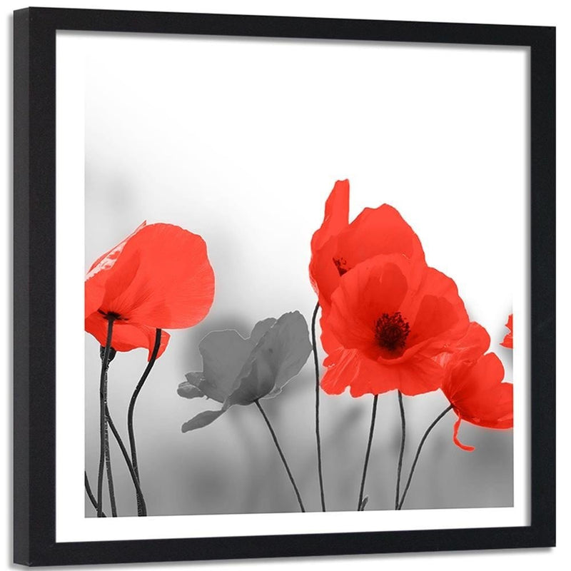 Glezna melnā rāmī - Red Poppies In Gray  Home Trends