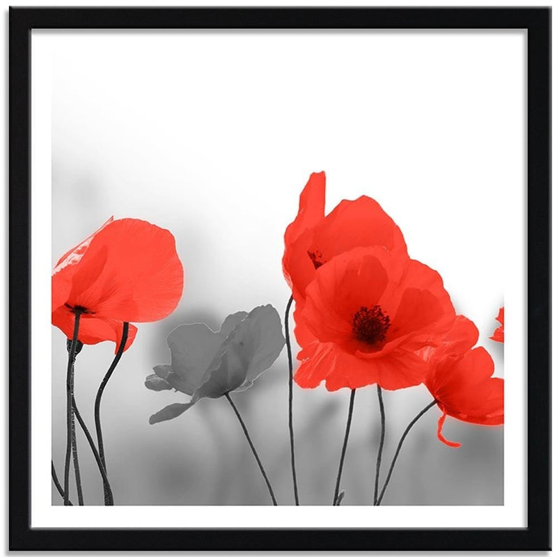 Glezna melnā rāmī - Red Poppies In Gray  Home Trends