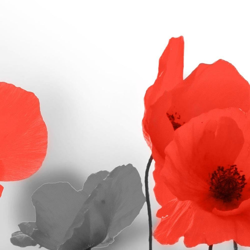 Glezna melnā rāmī - Red Poppies In Gray  Home Trends