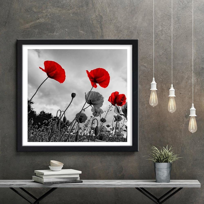 Glezna melnā rāmī - Red Poppies On The Meadow  Home Trends