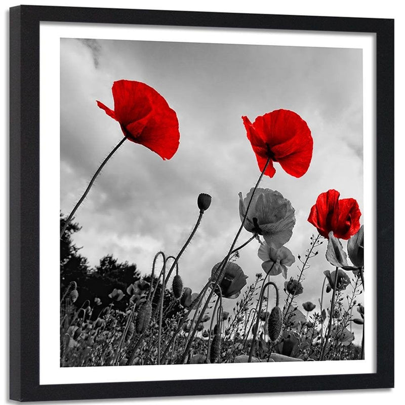 Glezna melnā rāmī - Red Poppies On The Meadow  Home Trends