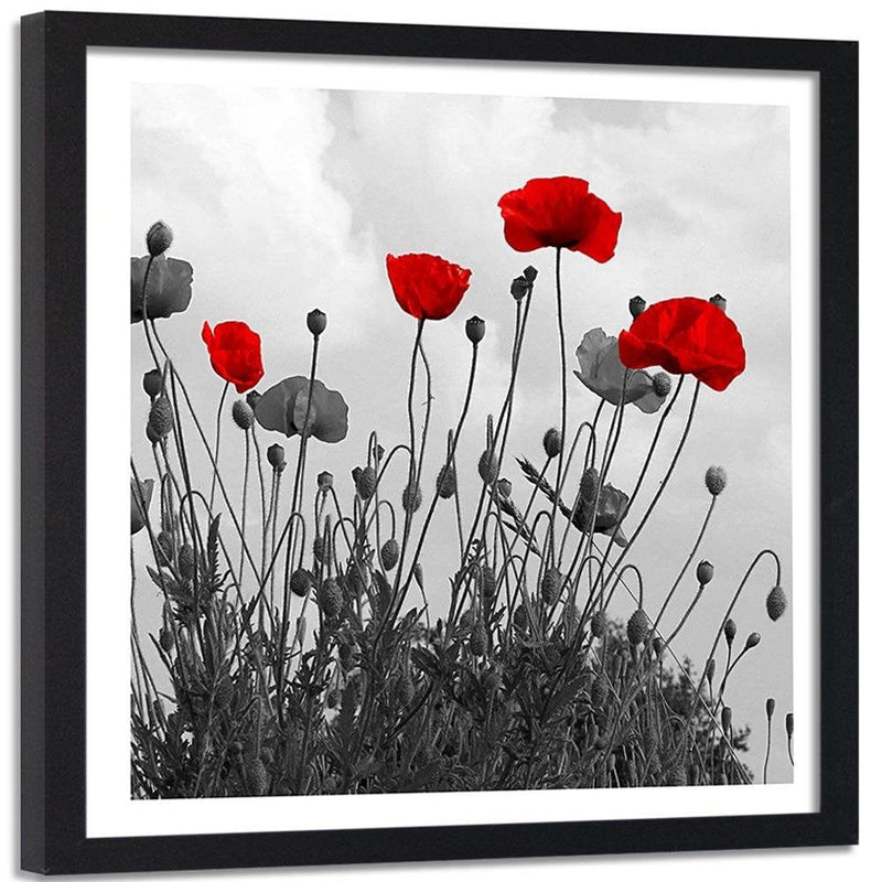 Glezna melnā rāmī - Red Poppy Flowers  Home Trends